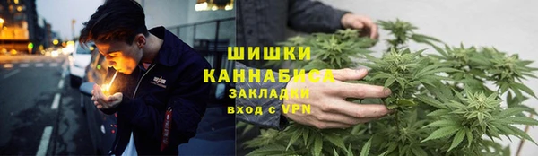 шишки Балахна