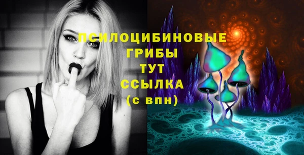 PSILOCYBIN Аркадак