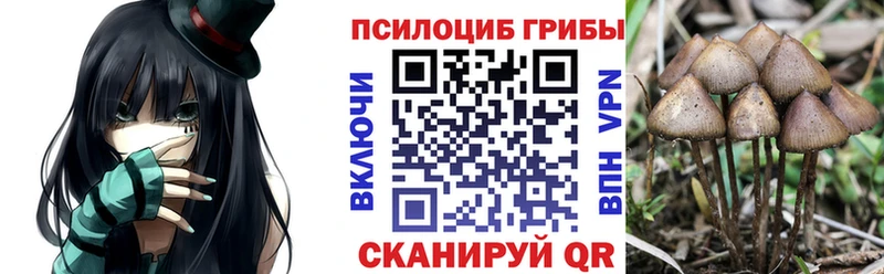 Галлюциногенные грибы Magic Shrooms  blacksprut вход  Михайлов  наркошоп 